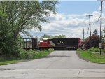 CN 9515